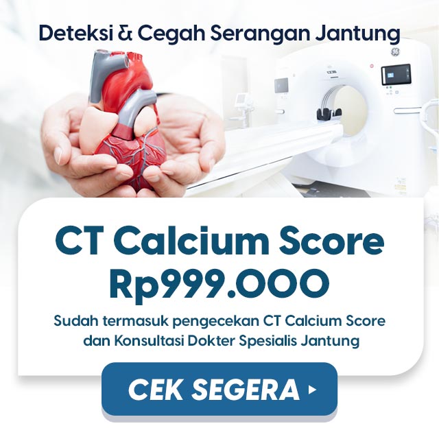main-banner